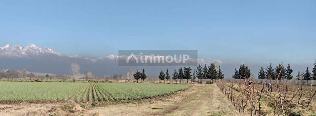 Finca en Venta en Tunuyan, Mendoza
