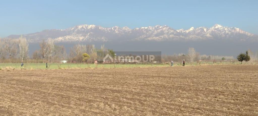 Finca en Venta en Tunuyan, Mendoza