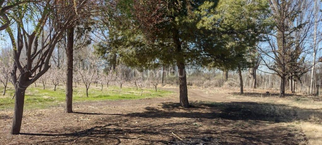 Finca en Venta en Tunuyan, Mendoza
