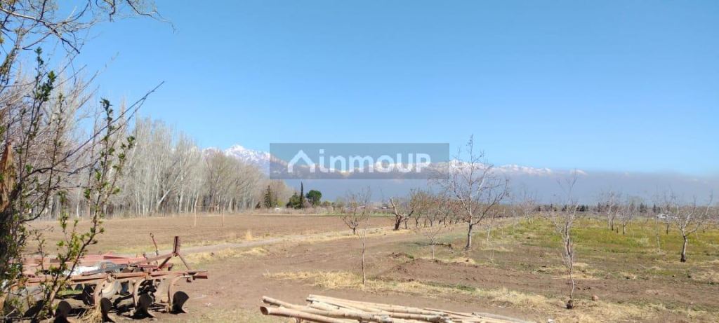 Finca en Venta en Tunuyan, Mendoza