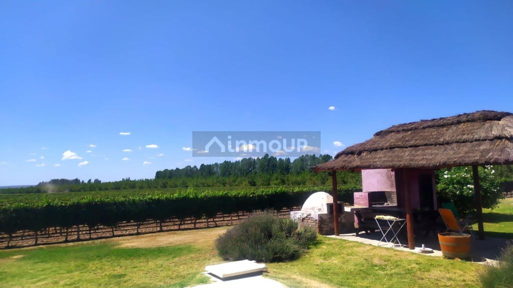 Finca en Venta en Tunuyan, Mendoza