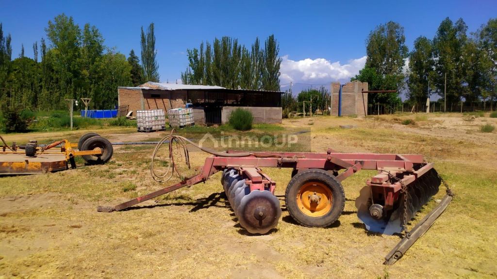 Finca en Venta en Tunuyan, Mendoza