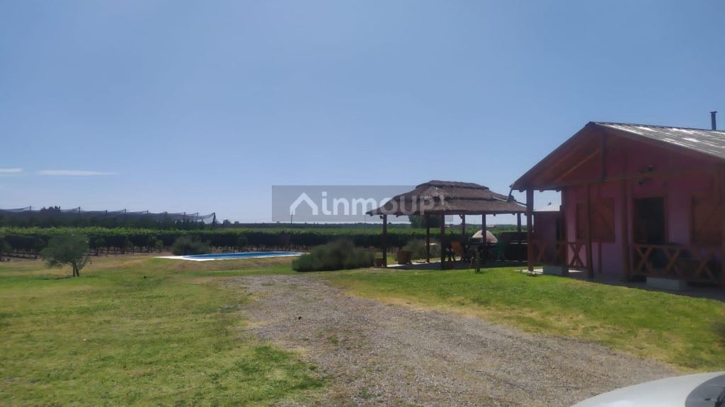Finca en Venta en Tunuyan, Mendoza