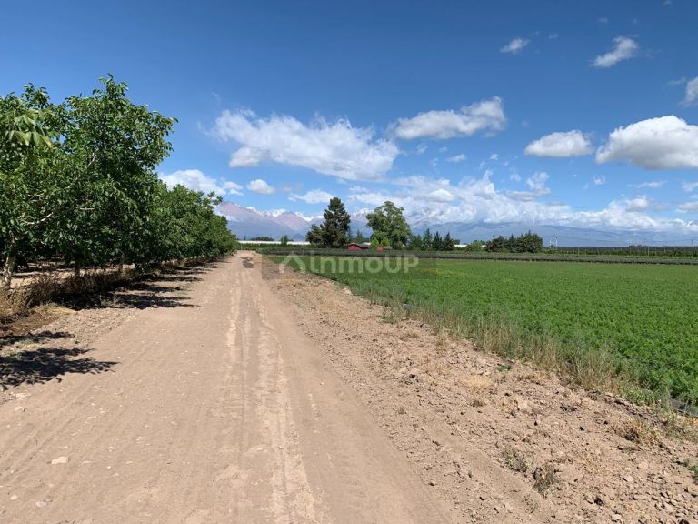 Finca en Venta en Tunuyan, Mendoza
