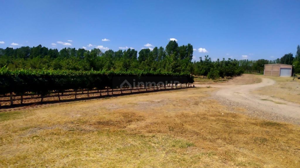 Finca en Venta en Tunuyan, Mendoza