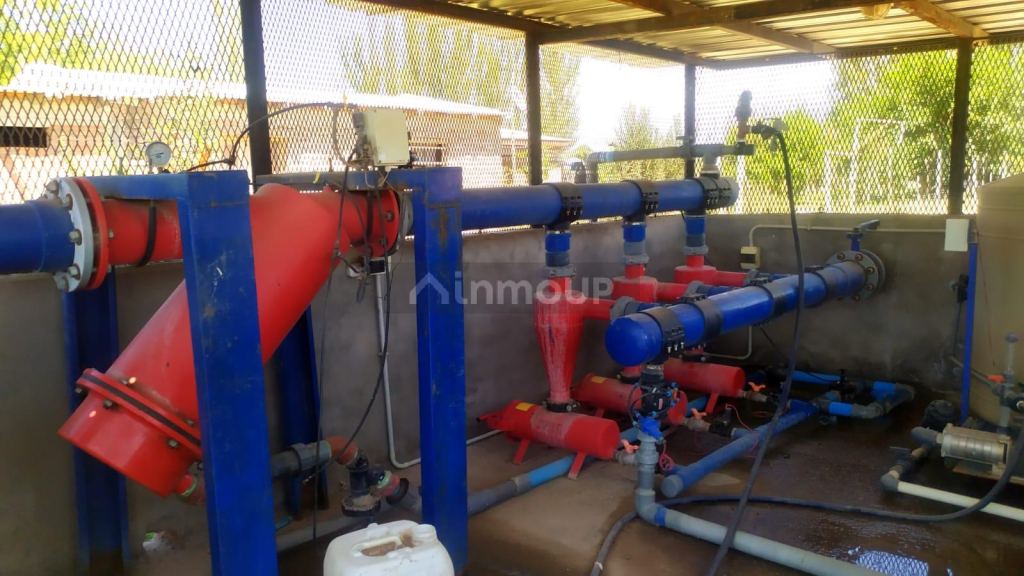 Finca en Venta en Tunuyan, Mendoza