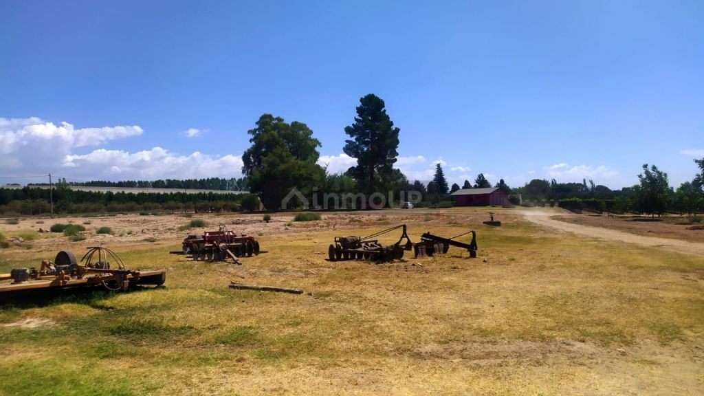 Finca en Venta en Tunuyan, Mendoza