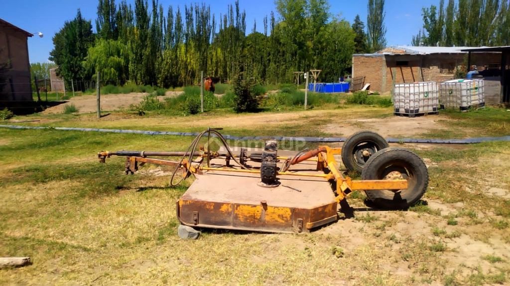Finca en Venta en Tunuyan, Mendoza