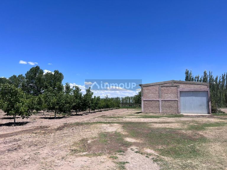 Finca en Venta en Tunuyan, Mendoza