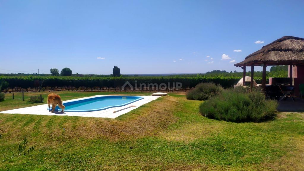 Finca en Venta en Tunuyan, Mendoza