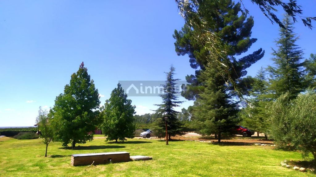 Finca en Venta en Tunuyan, Mendoza