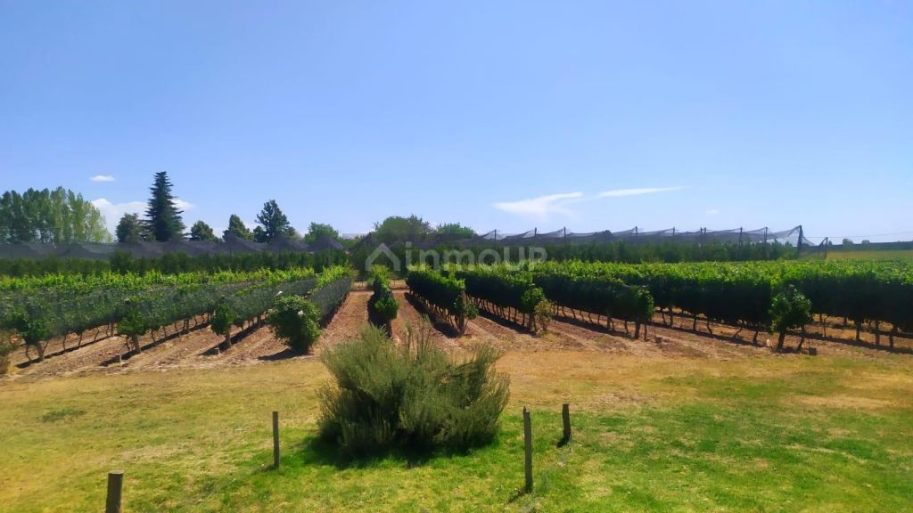 Finca en Venta en Tunuyan, Mendoza
