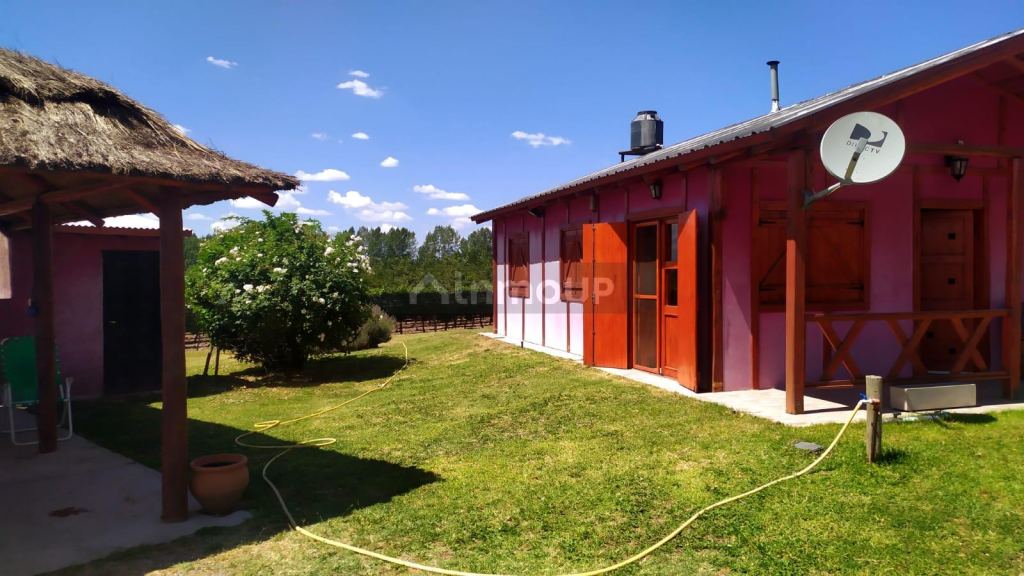 Finca en Venta en Tunuyan, Mendoza