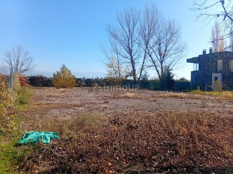 Lote en Venta en Lujan de Cuyo, Mendoza