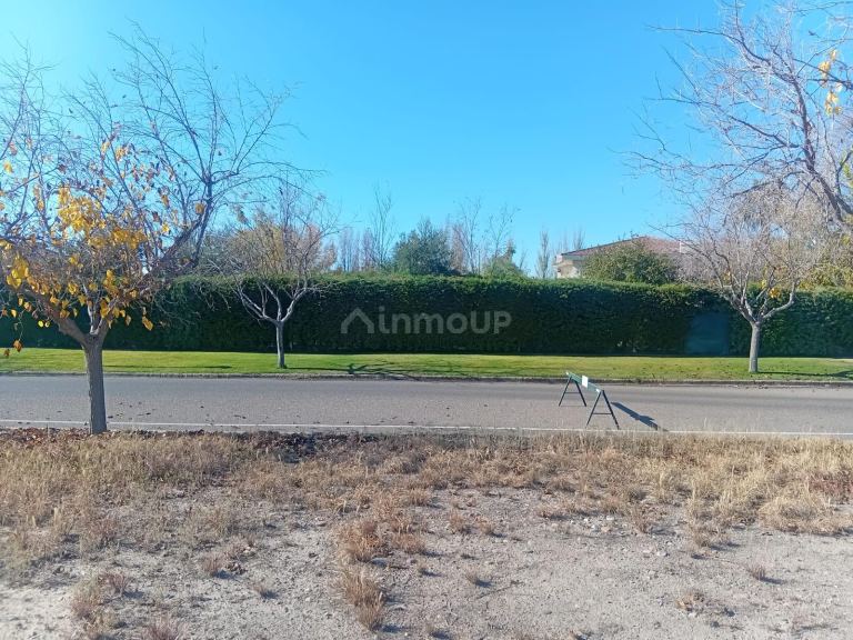 Lote en Venta en Lujan de Cuyo, Mendoza