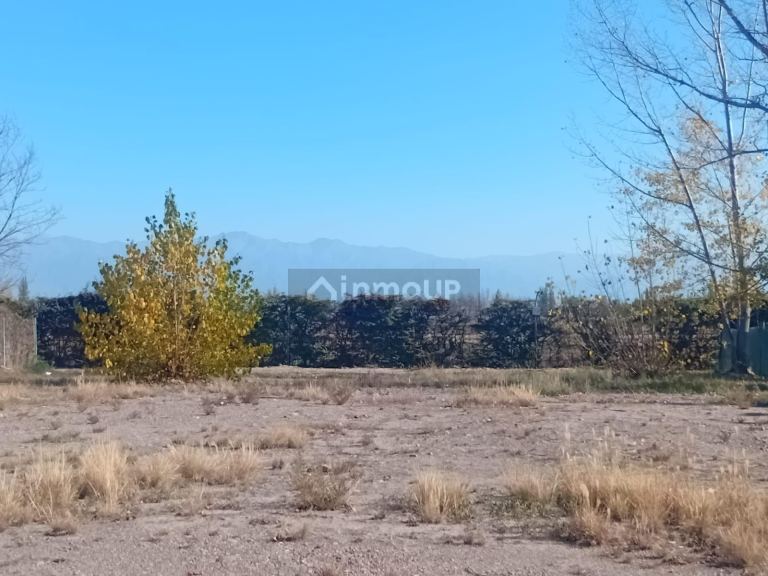 Lote en Venta en Lujan de Cuyo, Mendoza