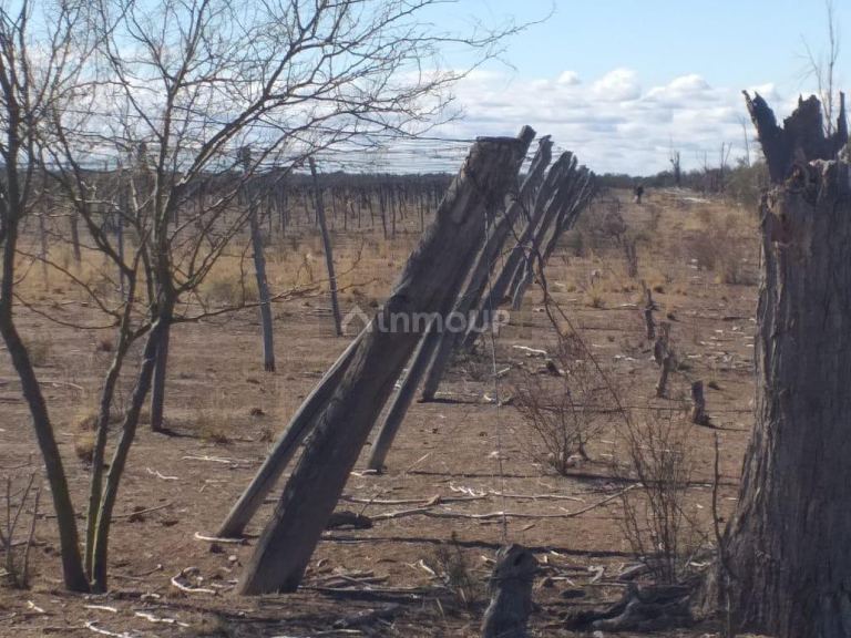 Finca en Venta en Santa Rosa, Mendoza