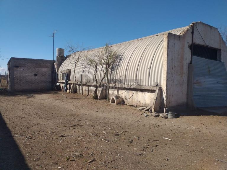 Finca en Venta en Santa Rosa, Mendoza
