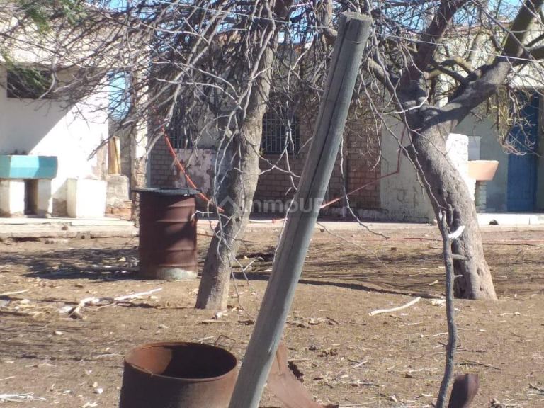 Finca en Venta en Santa Rosa, Mendoza