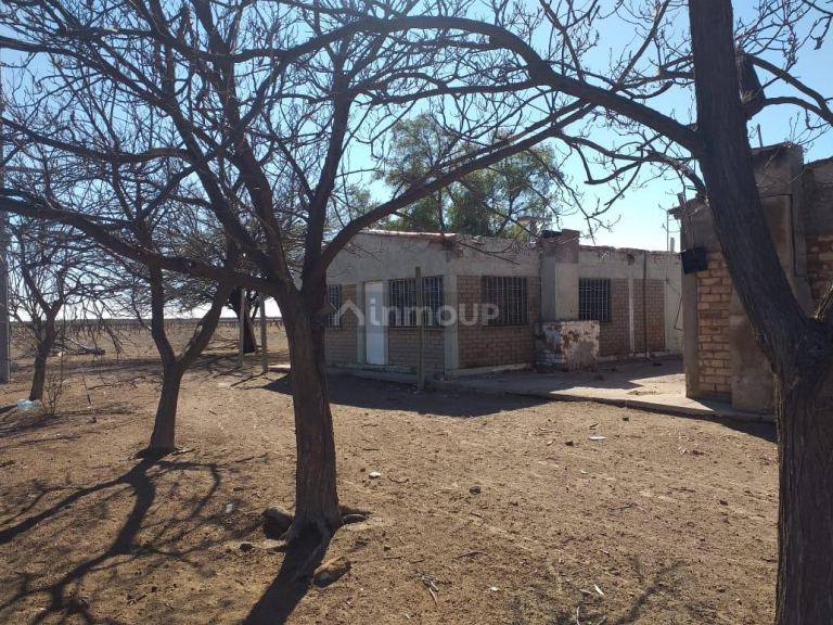 Finca en Venta en Santa Rosa, Mendoza