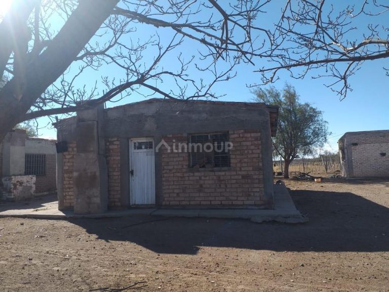 Finca en Venta en Santa Rosa, Mendoza