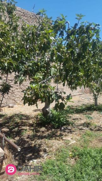 Casa en Venta en General Roca, Rio Negro