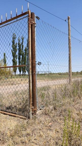 Campo en Venta en General Roca, Rio Negro