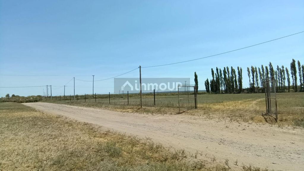 Campo en Venta en General Roca, Rio Negro