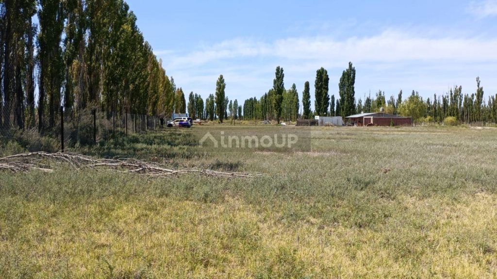 Campo en Venta en General Roca, Rio Negro