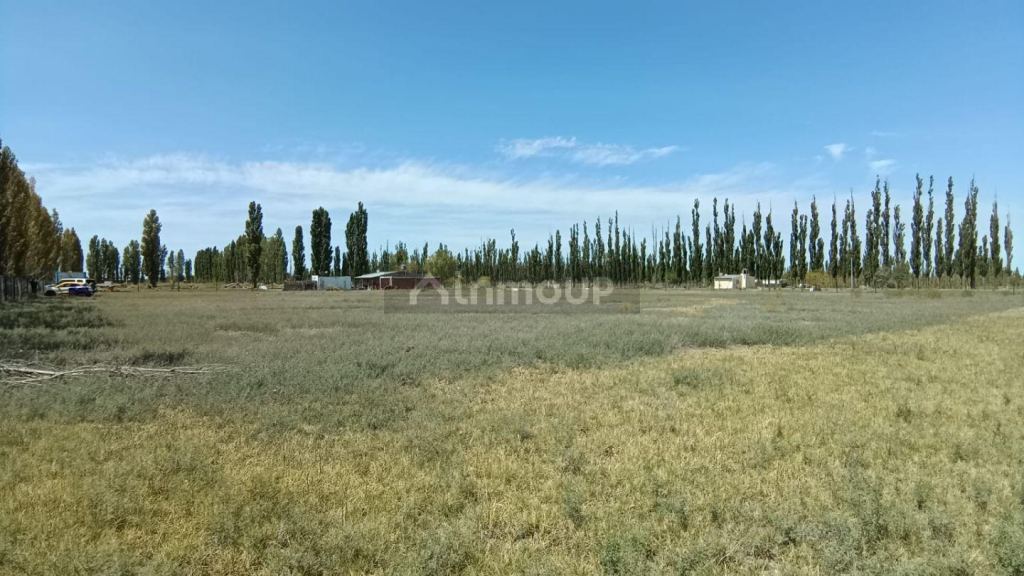 Campo en Venta en General Roca, Rio Negro