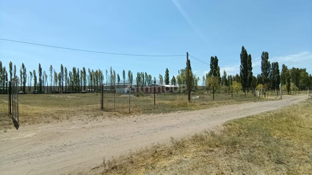 Campo en Venta en General Roca, Rio Negro