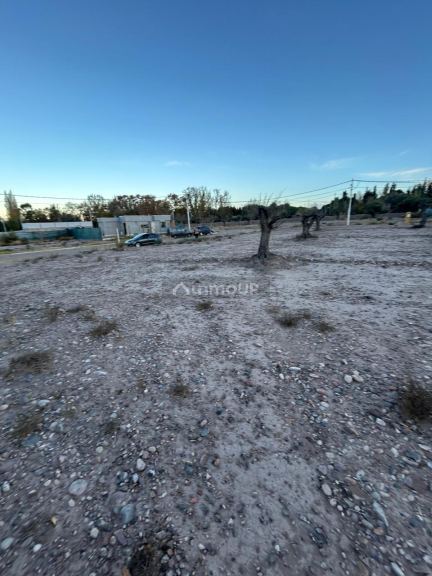 Lote en Venta en Maipu, Mendoza