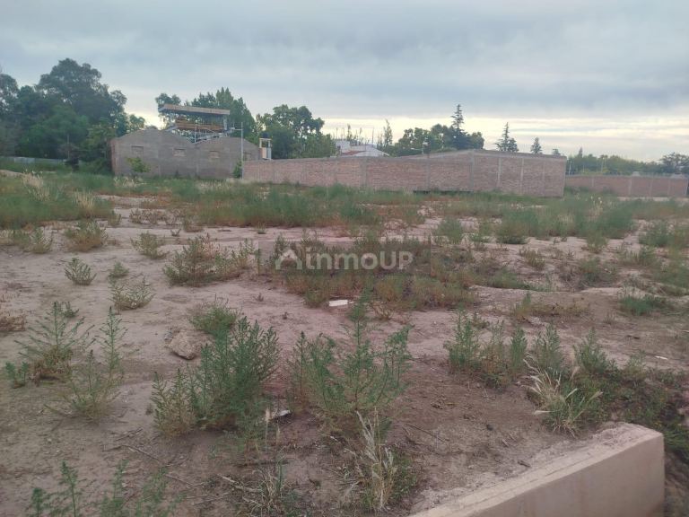 Lote en Venta en Lujan de Cuyo, Mendoza