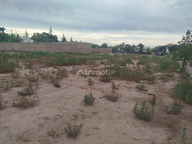Lote en Venta en Lujan de Cuyo, Mendoza
