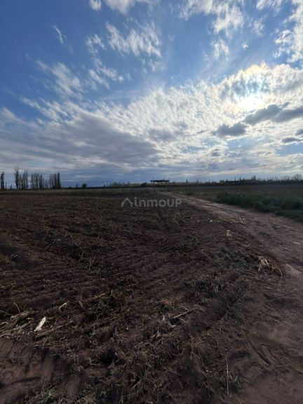 Finca en Venta en Lavalle, Mendoza