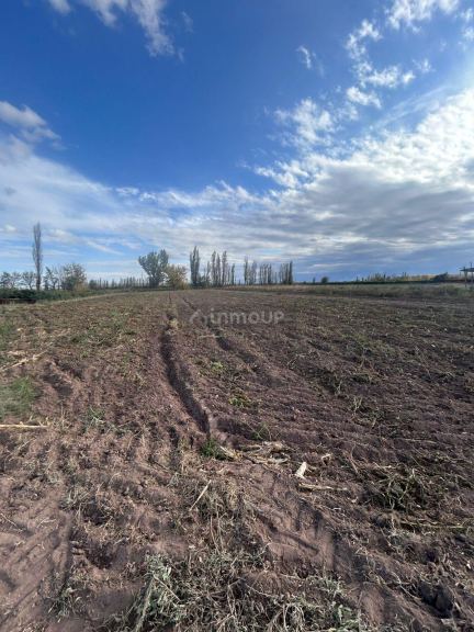 Finca en Venta en Lavalle, Mendoza
