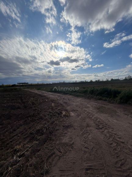 Finca en Venta en Lavalle, Mendoza
