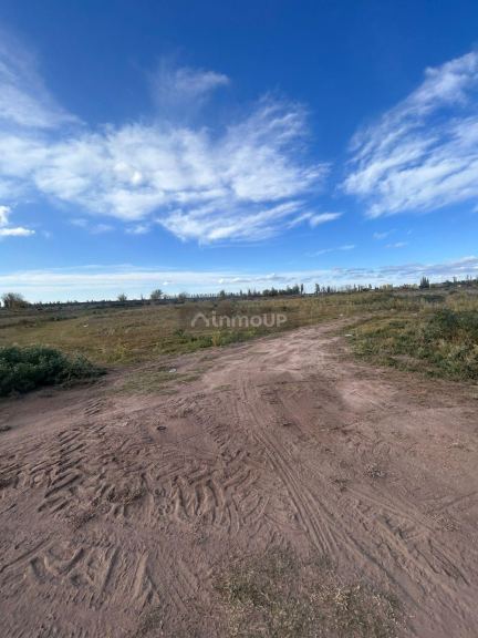 Finca en Venta en Lavalle, Mendoza