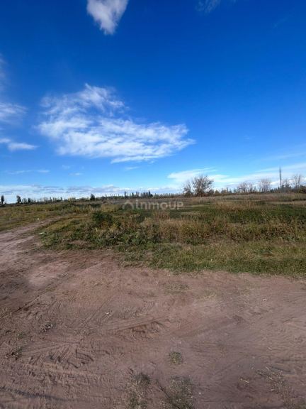 Finca en Venta en Lavalle, Mendoza