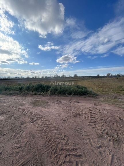 Finca en Venta en Lavalle, Mendoza