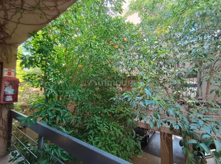 Duplex en Alquiler en Godoy Cruz, Mendoza