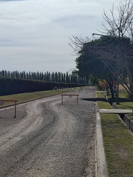 Lote en Venta en Lujan de Cuyo, Mendoza