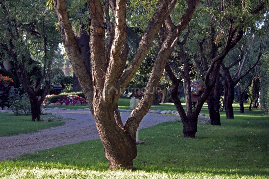 Hotel en Venta en Lujan de Cuyo, Mendoza