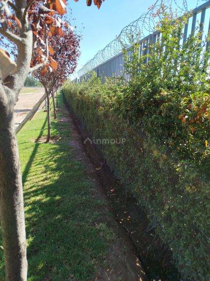Lote en Venta en Lujan de Cuyo, Mendoza