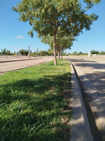 Lote en Venta en Lujan de Cuyo, Mendoza
