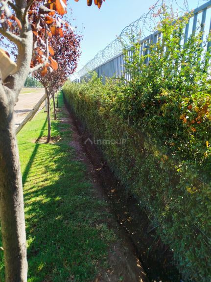 Lote en Venta en Lujan de Cuyo, Mendoza
