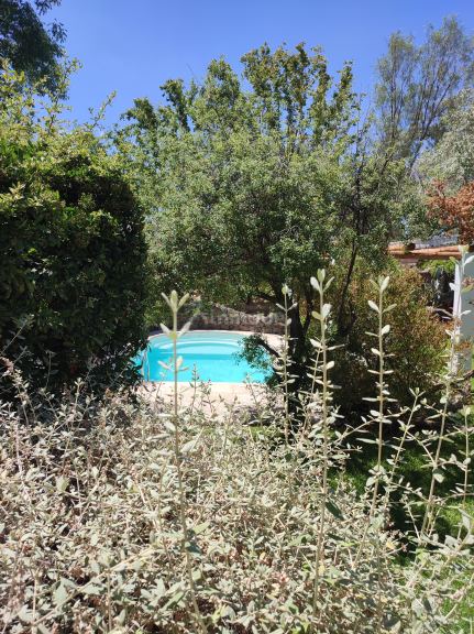 Departamento en Alquiler en Lujan de Cuyo, Mendoza