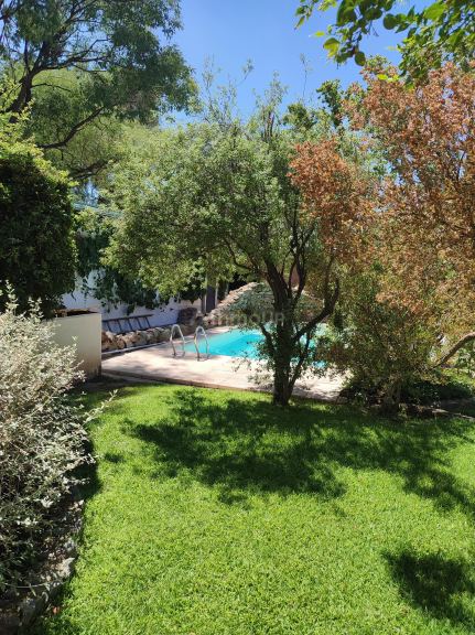 Departamento en Alquiler en Lujan de Cuyo, Mendoza