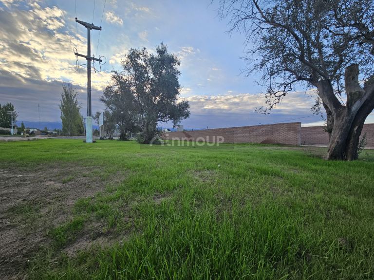 Lote en Venta en Lujan de Cuyo, Mendoza