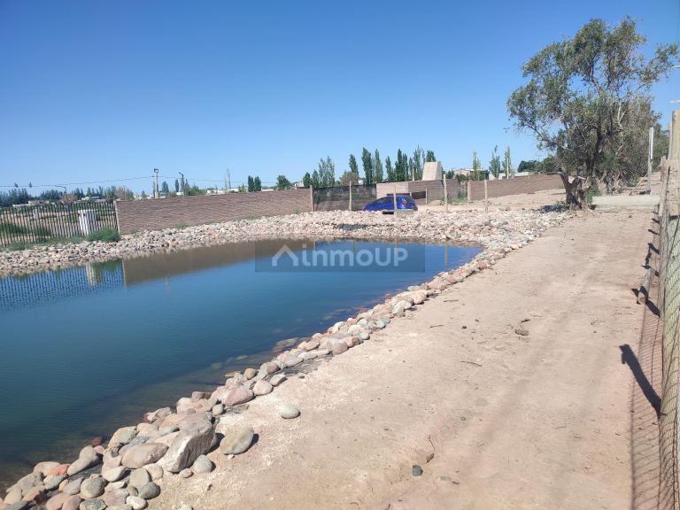Lote en Venta en Lujan de Cuyo, Mendoza